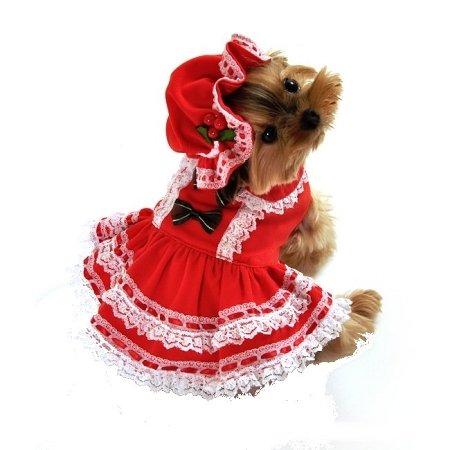 Miss Santa Baby Dog Costume - Medium