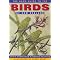 Bird & Wildlife Guides to Australia & Oceania
