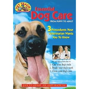 Essential Dog Care