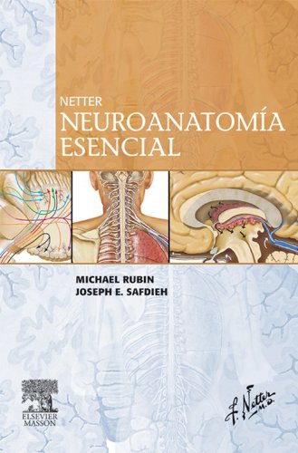 Netter. Neuroanatomía esencial (Spanish Edition)