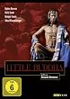 Little Buddha DV