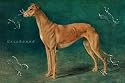 Art Poster, Coursing Greyhound - 27.5 x 18.75