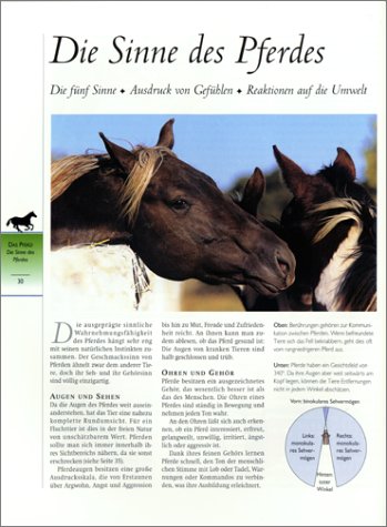 Cover image : Pferde. Reittechniken, Pflege und Haltung, Rassen