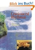 Craniosacral Rhythmus