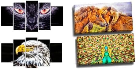 Parrot Art on Canvas: Polly Want A Cracker - 60x32 - 5 Piece