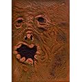 The Evil Dead - Book of the Dead [DVD] [1982]
