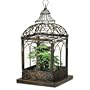 Red Carpet Studio Eagle's Nest Terrarium