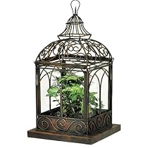 Red Carpet Studio Eagle's Nest Terrarium