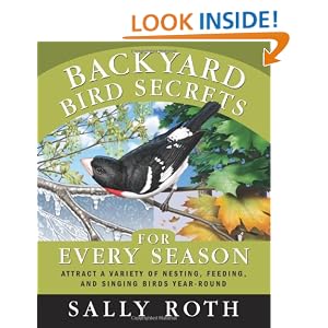 Secrets Backyard Bird Feeding Success Attracting