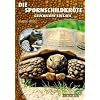 Die Spornschildkr�te: Geochelone Sulcata