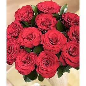 12 Red Roses