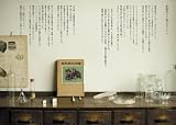 鉱物見タテ図鑑 鉱物アソビの博物学 (P-Vine Books) 画像
