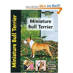 Miniature Bull Terrier