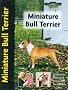 Miniature Bull Terrier