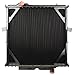 Spectra Premium 2101-3706 Industrial Complete Radiator