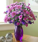 Plum Crazy(Tm) - Medium