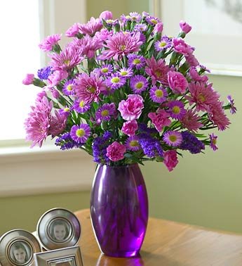 Plum Crazy(Tm) - Large