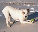 For the Love of Jack Russell Terriers 2007 Deluxe Calendar (Multilingual Edition)