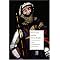 find some good Arthurian literature.
