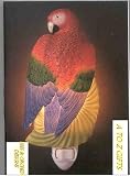 Flowers of Light Night Lights Macaw Parrot Ibis & Orchid