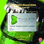 Touch of Ginger Wallet Essentials Stainless Steel Bottle Opener
