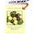 Chez Panisse Fruit