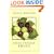 Chez Panisse Fruit