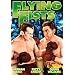 Flying Fists