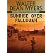Sunrise Over Fallujah