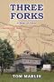 Three Forks: A Novel of Texas