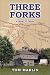 Book Three Forks: A Novel of Texas