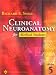 Clinical Neuroanatomy for Medical Students (Periodicals)