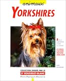 Yorkshires