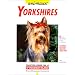 Yorkshires