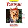 Yorkshires