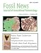 Fossil News