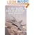 US Navy Hornet Units of Freedom - Iraqi Freedom - Part One