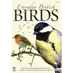 Everyday British Birds [DVD]