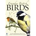 Everyday British Birds [DVD]