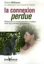 La connexion perdue : Retrouver la communication intuitive