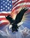 American Eagle and Flag II Animals Art Poster Print
