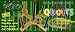 Wooden Quoits