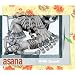 Asana OHM Shanti