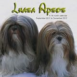 Lhasa Apsos 2012 Kalender
