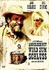 Abgerechnet wird zum Schluss (DVD)