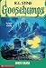 Ghost Beach (Goosebumps, No 22)