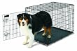 Petmate Home-Training 36-by-24-by-27-Inch Wire Dog Kennel, Large