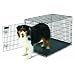 Petmate Home-Training 36-by-24-by-27-Inch Wire Dog Kennel, Large