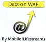 Data on WAP
