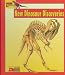 Book Looking At...New Dinosaur Discoveries (The New Dinosaur Collection)
